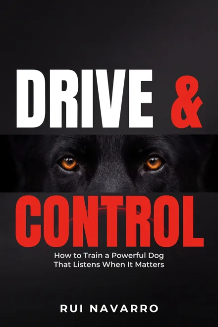 Drive & Control by Rui Navarro, book cover