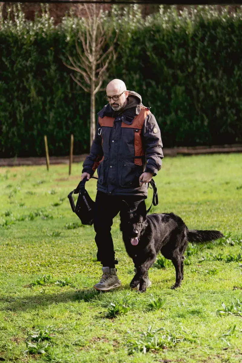 Rui Navarro working with a dog off leash on a training field