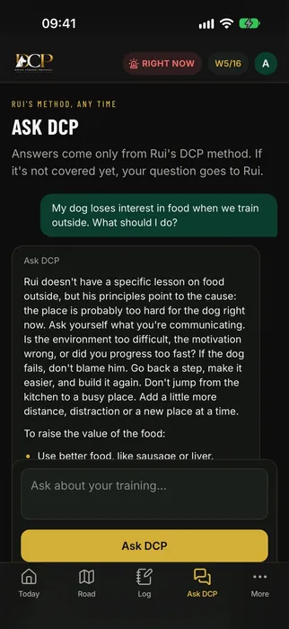 Ask DCP screen in the DCP app: a question and an answer from Rui’s method