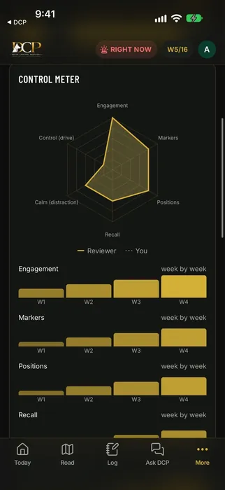 Control Meter screen in the DCP app