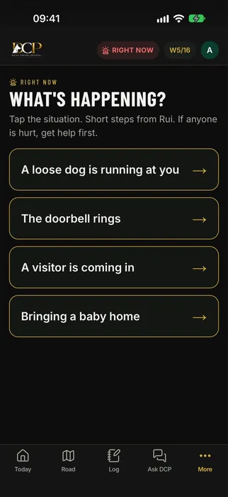 Right now screen in the DCP app: instant steps for real situations