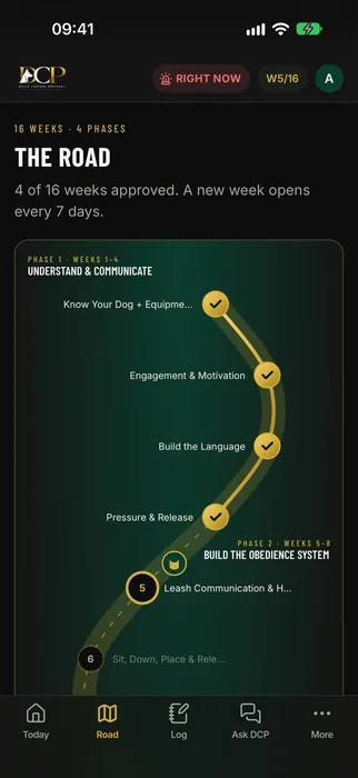The Road screen in the DCP app: the 16 weeks as a road