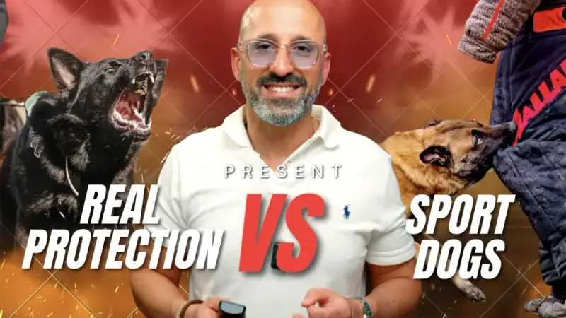Sport Dog vs Protection Dog