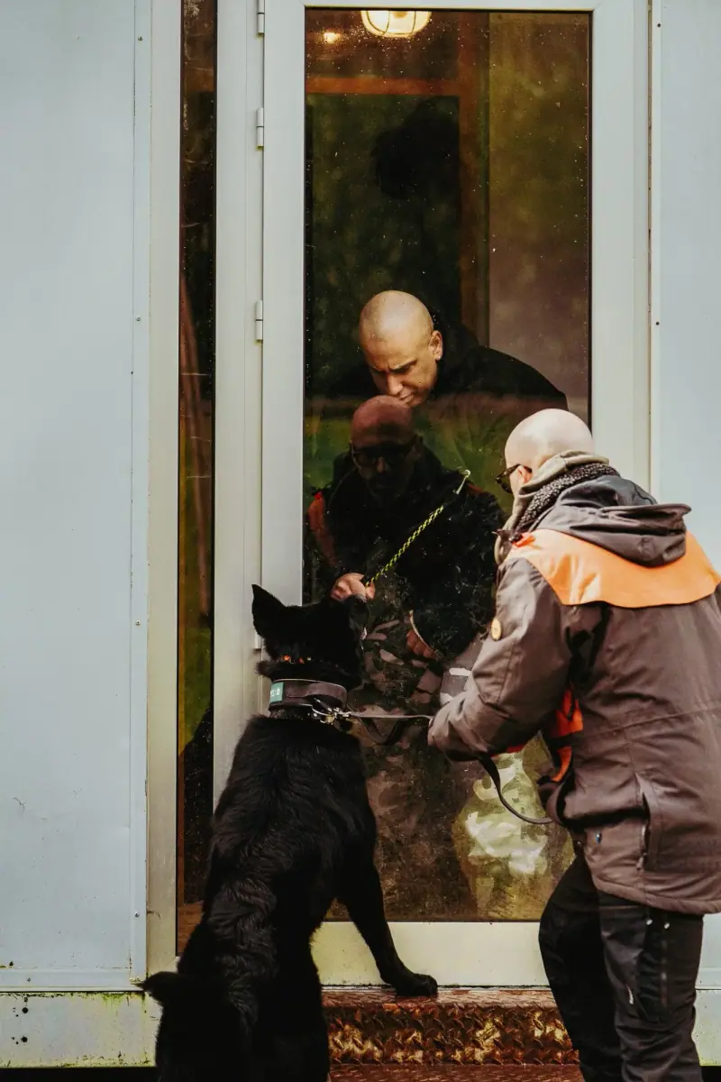 German Shepherd on leash facing a person behind a glass door.