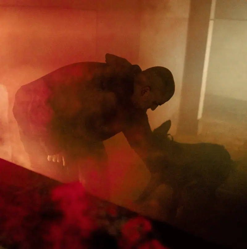 Person bending toward a German Shepherd in a smoke-filled room.