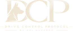 DCP: Drive Control Protocol