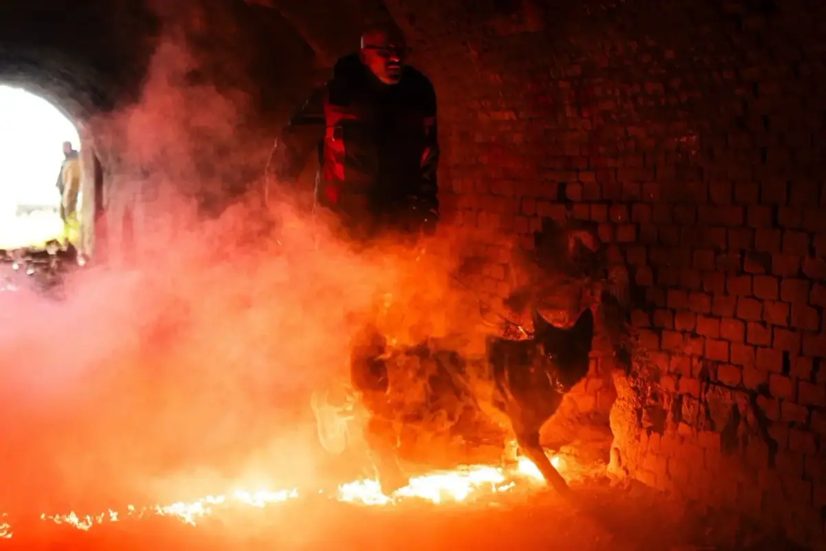 Rui Navarro and his German Shepherd Atilla walking through fire and smoke in a tunnel